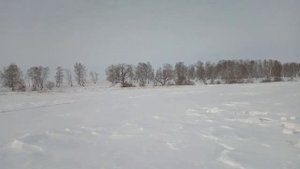 Елесани🙂