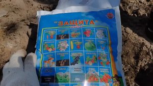 Сажала капусту НЕ правильно. Исправляю ошибки с новой добавкой к ранней капусте