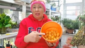 Что и по чём я продаю? Как правильно заказать?