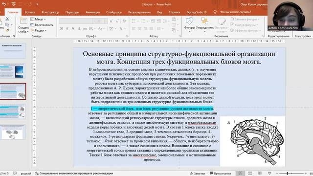 Основные принципы структурно-функциональной организации мозга. Концепция трех функциональных блоков