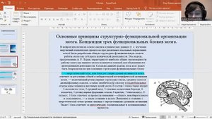 Основные принципы структурно-функциональной организации мозга. Концепция трех функциональных блоков