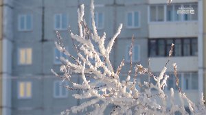 Перед новогодними каникулами братчан ждёт шестидневная рабочая неделя