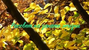 10. Исихия. иером. Симон (Безкровный)