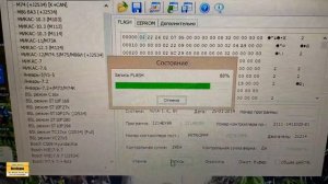 Нива 2010 год. Замена "родного" ЭБУ Бош 797+ на прошитый динамичной прошивкой евро-0 Январь 7.2.