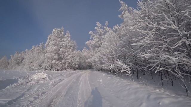 На снегоходе, белый лес смотреть онлайн