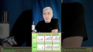 ПЧЕЛОВОДСТВО.  ЩАВЕЛЕВАЯ КИСЛОТА В СИРОПЕ ПРОТИВ КЛЕЩА ТРОПИЛЕАЛАПС