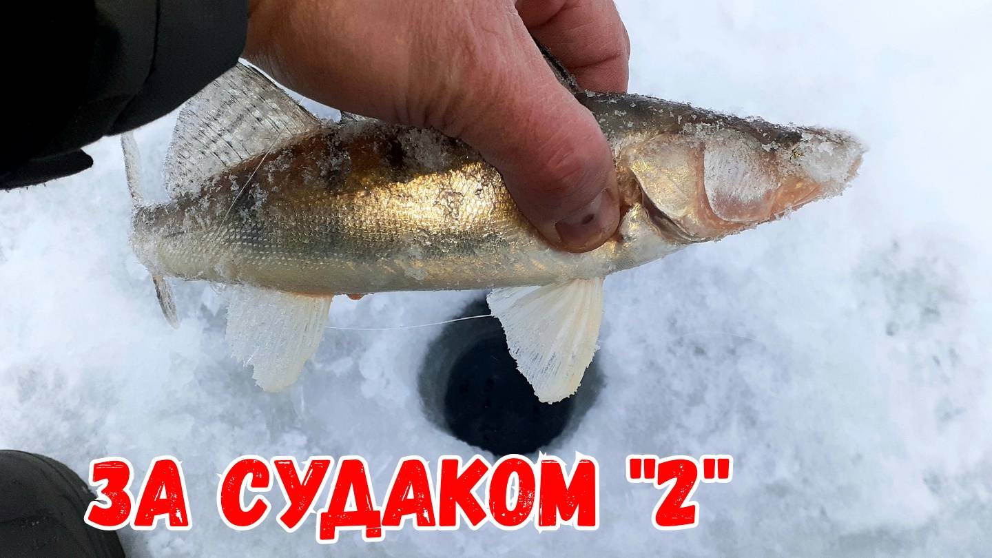 Рыбалка ДЕЖАВЮ | На море за Судаком