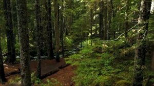 26.Судный день близок.mp4