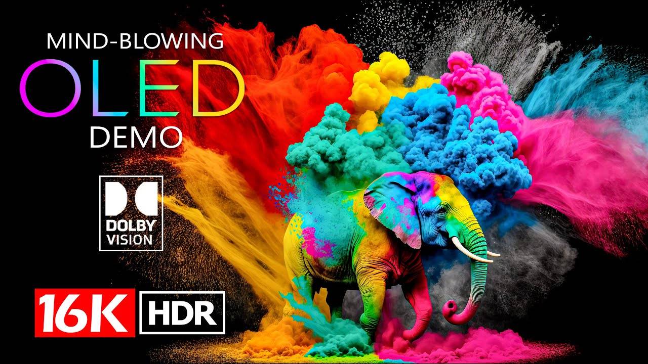 Best of 16K HDR 120FPS Dolby Vision