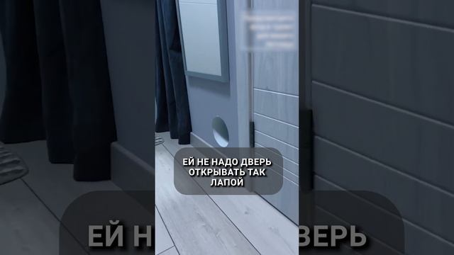 Как мы делали ДВЕРЬ для КОШКИ? #кошка #домашнееживотное #дверь #дизайнинтерьера