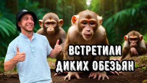 ВСТРЕТИЛИ ДИКИХ ОБЕЗЬЯН