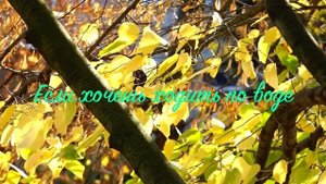 14. Исихия. иером. Симон (Безкровный)