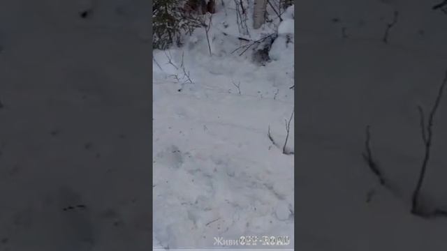 Где-то в самой опе