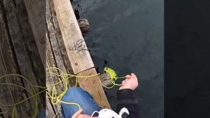 Подводный Дрон QYSEA FIFISH V6