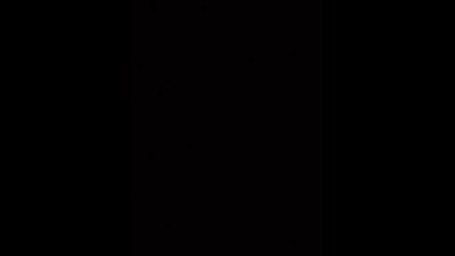 Андрей Алексин - Невменяемая