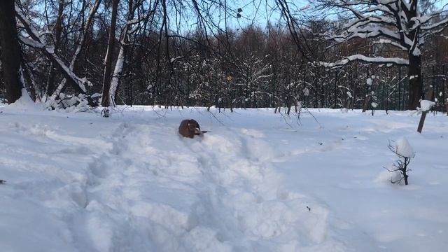Кира и мороз минус 15. смотреть онлайн