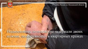 Подмосковные полицейские задержали двоих мужчин, подозреваемых в квартирных кражах