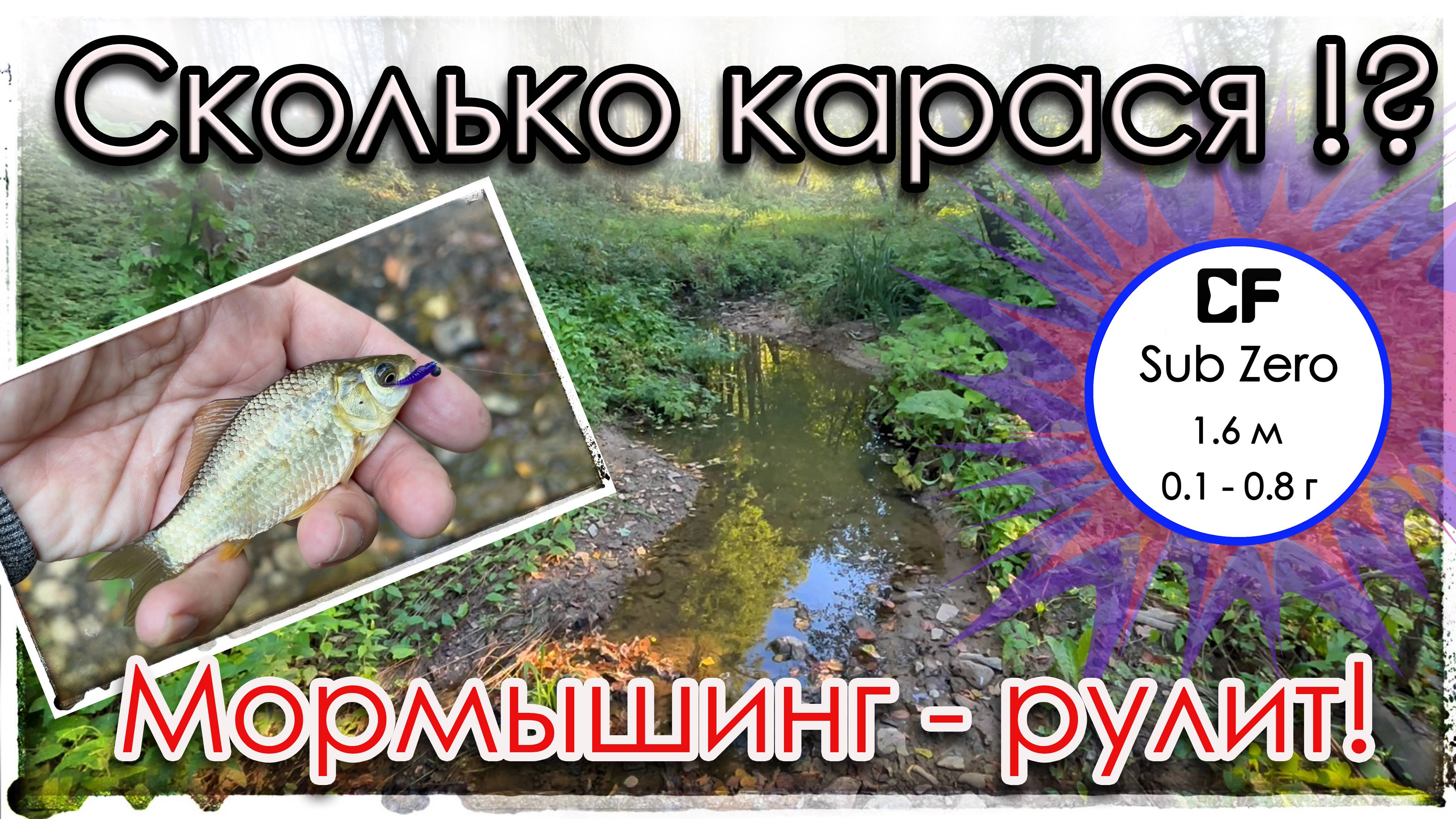 Сколько карася в этой луже?! Мормышинг - рулит! Sub Zero