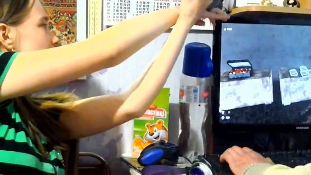 Chinchilla wall jumping \ Шиншилла просто гуляет смотреть онлайн