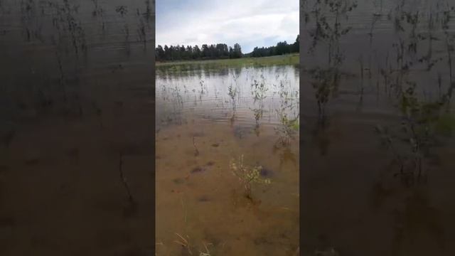 ехали и нашли живописный карьер.