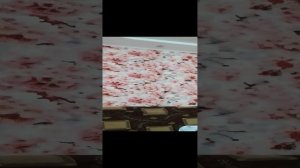 VID_20241223_152600.mp4