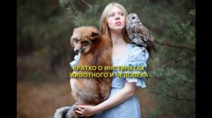 13.Инстинкты животных и людей.mp4