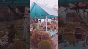 Знакомство с моим садом.