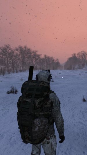 Зимний DayZ