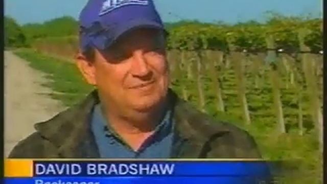 Wipe Out смотреть онлайн