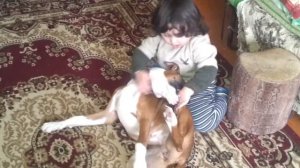 Собака разорвала девочку.     Dog tore the girl to shreds