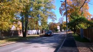 прогулка в осень, правильная лампочка, виноградный аромат