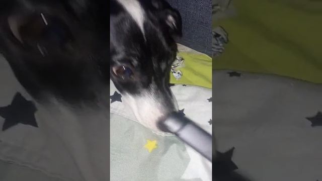 Кукушка собака смотреть онлайн