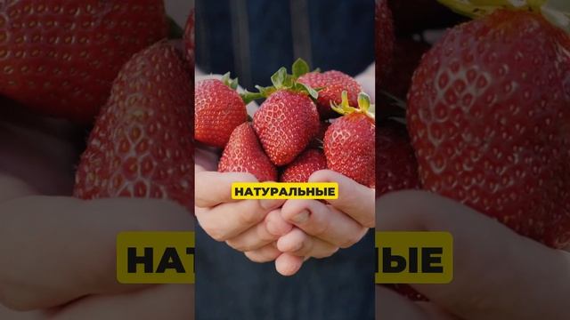 ТОП-7 суперпродуктов, которые сделают вас энергичными и здоровыми!