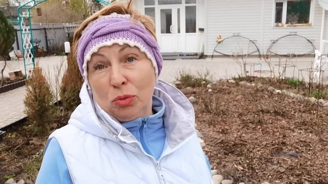 Букет РОЗ на одной ветке. Давно ждала эти новинки. Как прошла зимовка РОЗ?