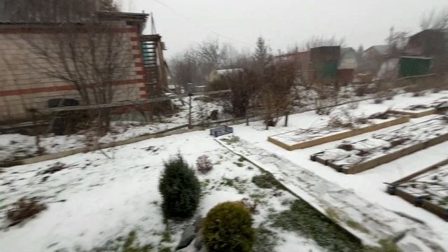 Утеплили саженцы на зиму. ЧП на даче. Соседи приютили, обогрели, накормили