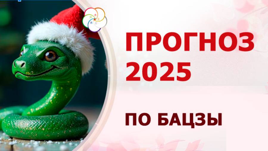 Общий прогноз по Бацзы на 2025 год