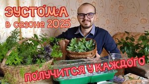 ПОСЕВ ЭУСТОМЫ ПО ШАГАМ. РАСКРЫВАЮ ВСЕ СЕКРЕТЫ ПОСЕВА ЭУСТОМЫ.