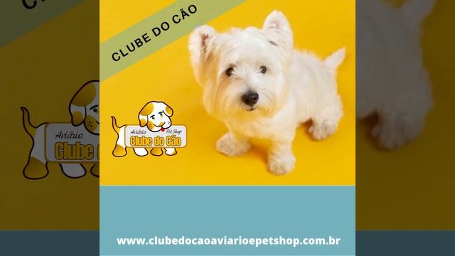 O melhor lugar para dar aquela tapa no visual do seu pet. смотреть онлайн