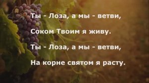 Ты - Лоза, а мы - ветви