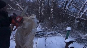 Carving.Мишка из тополя.