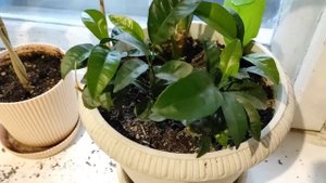 Переезд на Юг.Как это начиналось