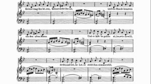 24. Шарманщик (Der Leiermann) — Ф. Шуберт | Исполняет Андрей Киселев