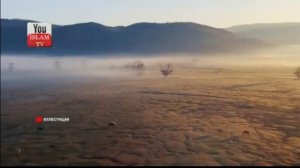 Нашид Qollu Lahhu