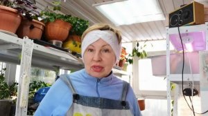 Плохо, что не сделала это осенью / Все перепачкала/ Орхидеи ждали современность/Садовый Влог