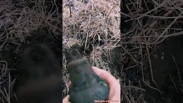 Приятная находка с подарком внутри #metaldetecting #поискиклада #коп  #сюрприз