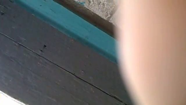 зачем собака, когда есть КОЗЁЛ)) смотреть онлайн