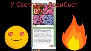 Выращу в  два раза больше зелени лука. Отличный способ выращивания микрозелени и салатов