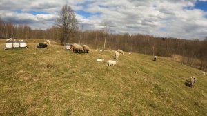 ХУТОР ПОГЛОТИЛ МЕНЯ, ВЕСЬ В РАБОТЕ.