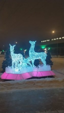 22.12.24 Москва, Южное Бутово