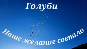 Голуби наше желание совпало полетели